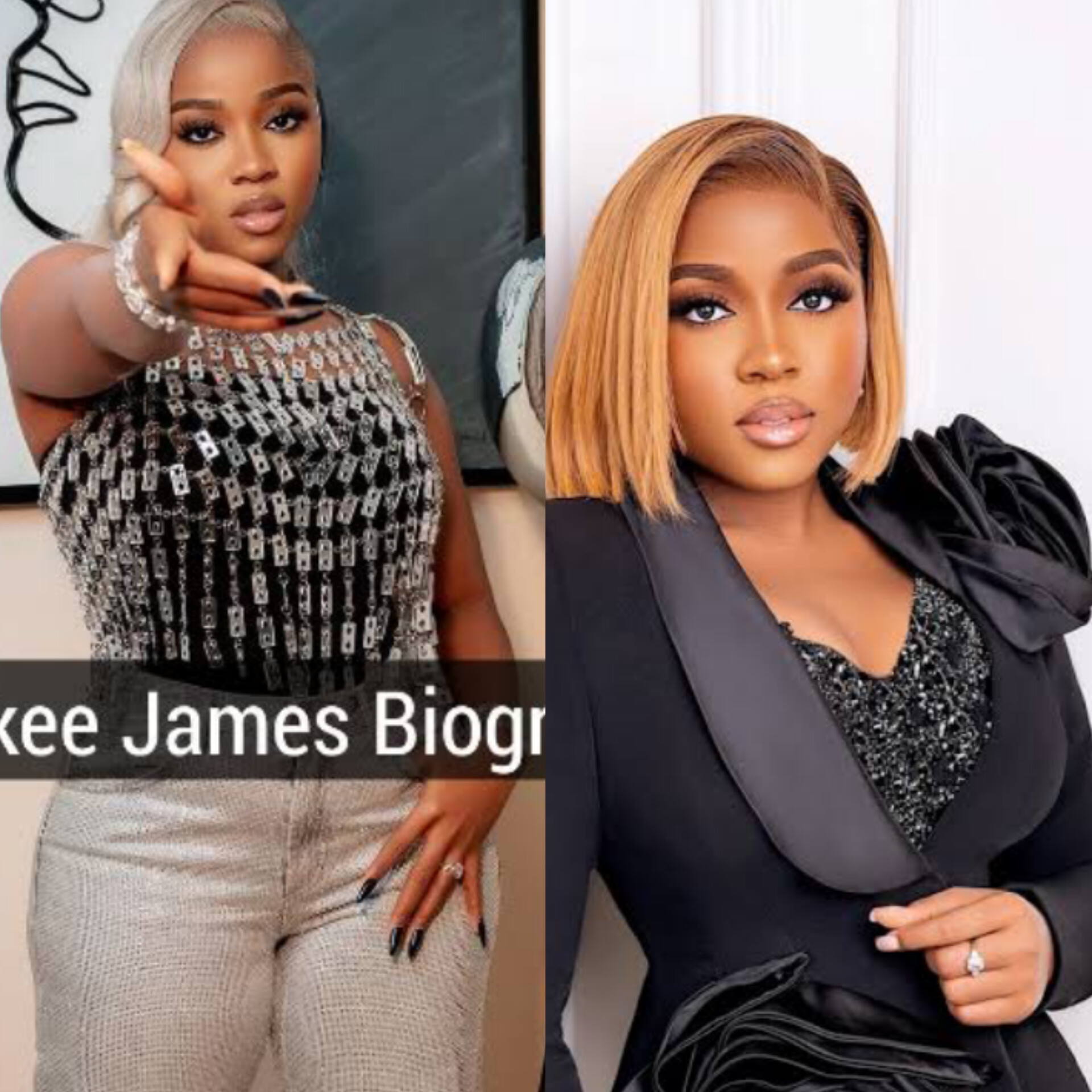 Veekee James Biography: Net Worth, Age, Wife, Education, Family, Career & Early Life